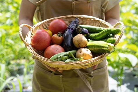 有機栽培の意味・無農薬との違いは？どんな肥料を使っているの？ Umm 農業とつながる情報メディア