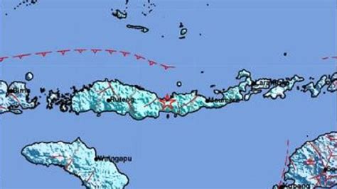 Analisis BMKG Gempa Bumi M5 8 Di Nagekeo NTT Terasa Hingga Denpasar