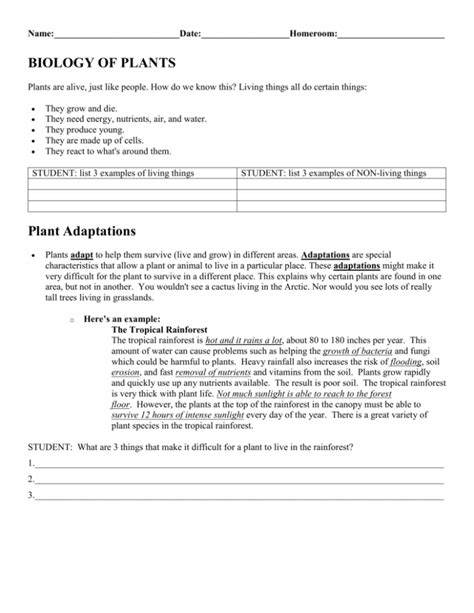 Plant Adaptations Worksheet