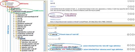 OAE hierarchical structure. This screenshot displays part of the OAE ...