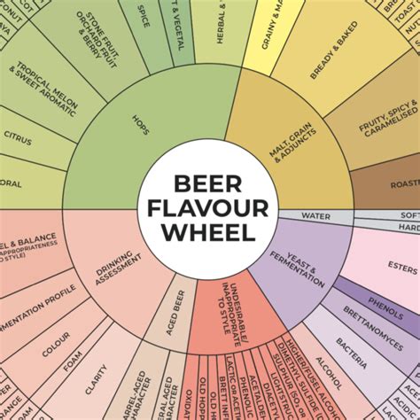 Beerdredge Beer Flavour Wheel Poster A The Malt Miller