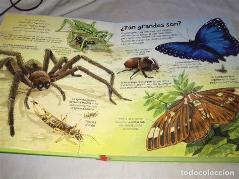 El Gran Libro De Los Grandes Insectos Y Aracnid Comprar En