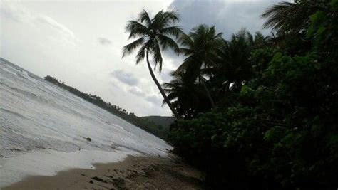 Guayama shoreline! | Guayama, Island living, Shoreline