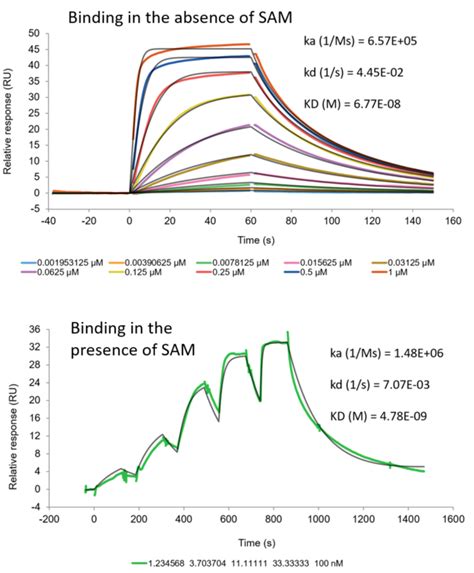 G9a Spr Assay Service Reaction Biology