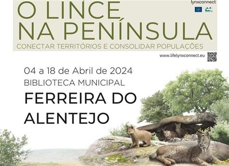 Ferreira Do Alentejo Lince Ib Rico Protagonista De Uma Exposi O Na