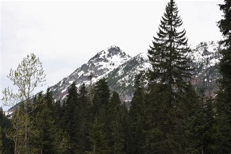 Scenery Near Stevens Pass Along Highway 2 In Washington 05 2016 Mount Rainier Road Trips