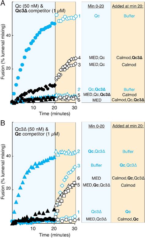 MARCKS Effector Domain A Reversible Lipid Ligand Illuminates Late