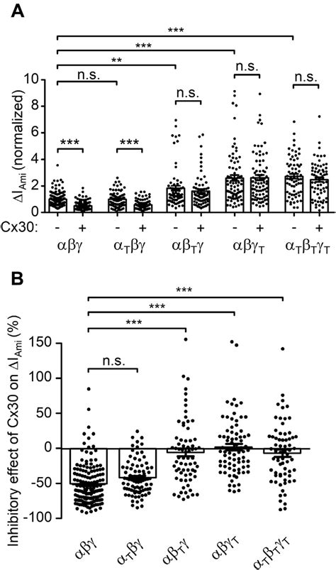 Intact C termini of β and γENaC are necessary for the inhibitory effect