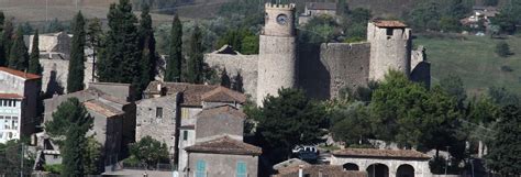 activities guided tours  day trips  pico civitatiscom