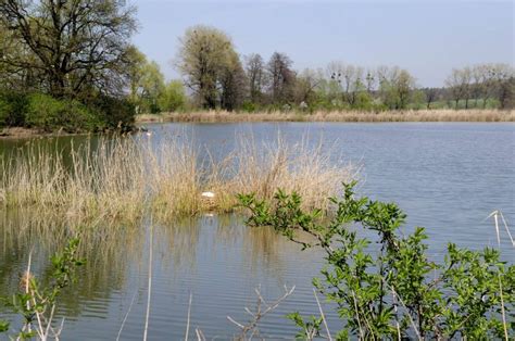 Stawy Dębowieckie Śląskie Informacja Turystyczna Wojew