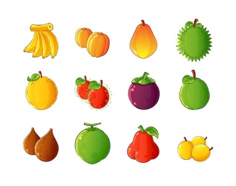 Colección de frutas tropicales exóticas Vector Premium