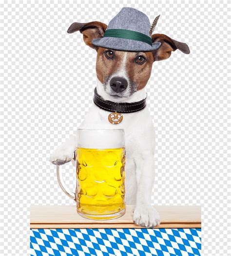 Cachorro Segurando Um Copo De Cerveja Copo De Cerveja Gar Om Png Pngegg