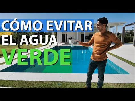 Descubre C Mo Evitar Que El Agua De Tu Piscina Se Ponga Verde Quimper