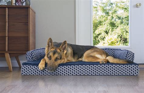 The Best Dog Beds For Older Dogs