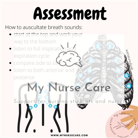 Lung Assessment And Adventitious Breath Sounds Cheat Sheet Etsy Canada