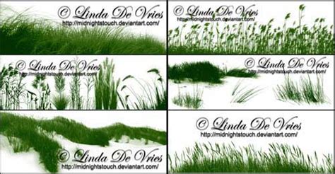 Grass Brushes For Photoshop 26 Fresh Sets To Download