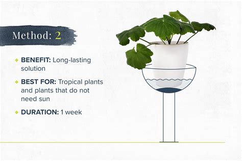 How To Water Plants While Away On Vacation