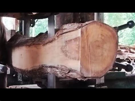 Proses Pengerajian Kayu Akasia Dibuat Bahan Kusen Papan Sungguh Luar