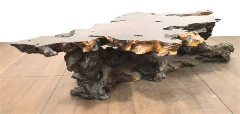 Lot Custom Rustic Burl Wood Root Slab Coffee Table