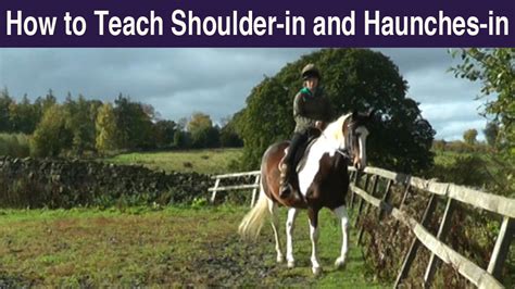 How to Teach Shoulder-in and Haunches-in: At Liberty, In-hand and Ridden! - Connection Training