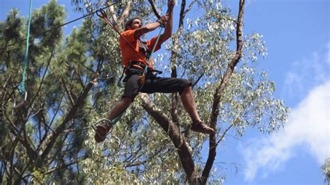 Amazing High Rope Adventure with Zip Lines