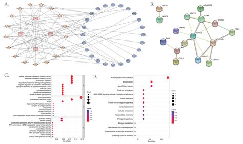 Cerna Network Construction And Identification Of Hub Genes As Novel