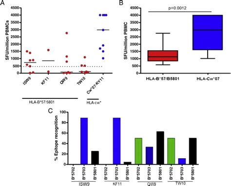 Measurement Of HLA B 57 5801 And HLA Cw 07 Restricted T Cell Responses