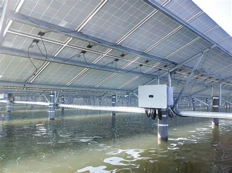 Lightsource Bp To Build Mw Fishery Solar Farm In Taiwan Pv