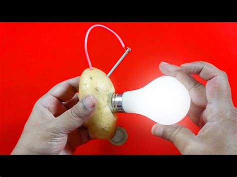 Potato Light Bulb Science Fair Project Shelly Lighting