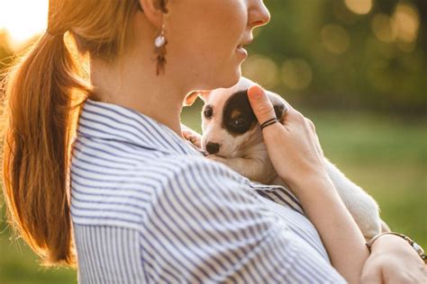 Cosa Sapere Prima Di Adottare Un Cane Oasi Della Luna Rossa