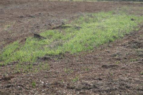 Dos Formas De Adquirir La Propiedad De Una Finca R Stica Por El Paso