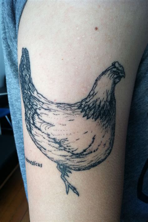 Chicken Tattoo Info