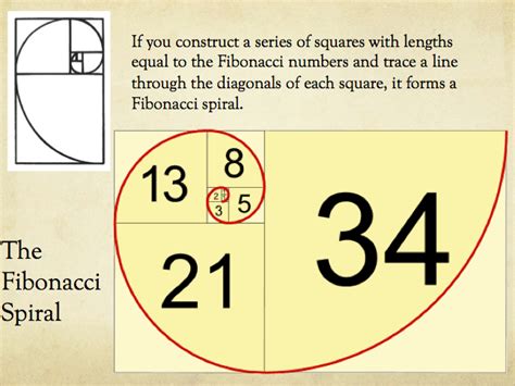 The Fibonacci Sequence Teaching Resources