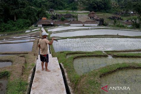 Meningkatkan Kesejahteraan Petani Melalui Optimalisasi Sistem Irigasi