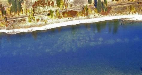 Snake River Fall Chinook Recovery Sotsp