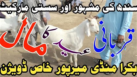 Bakra Mandi Mirpur Khas Bakra Eid 2023 Ka Sasta Mal Cake Video 26 May