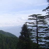 Honeymoon Tour For Chamba Bharmour Khajjiar Dalhousie