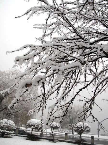 Heavy Snowfall Hits Jilin Province On Friday China Org Cn