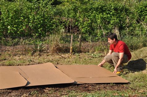 Le Potager En Lasagne Les Jardins De No