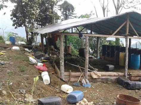 Violencia Banda Bajo Cauca Líderes Debilitamiento De Los Caparrapos