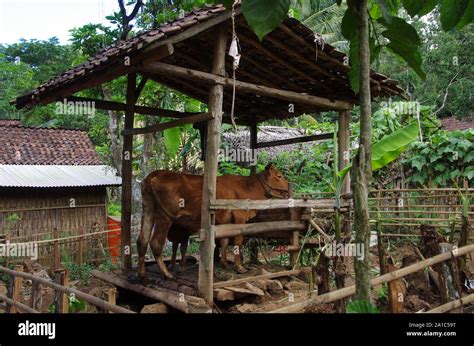 Traditional village on the Java island in Indonesiea Stock Photo - Alamy