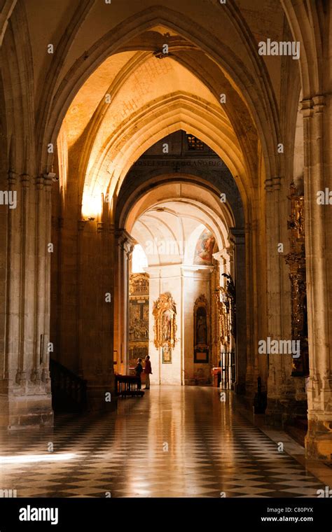 Gothic Cathedral Metropolitan Church San Salvador De Oviedo Asturias