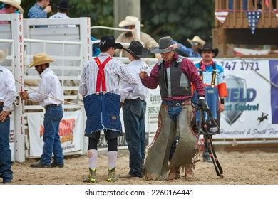 50 Thousand Cowboy Rodeo Royalty Free Images Stock Photos Pictures