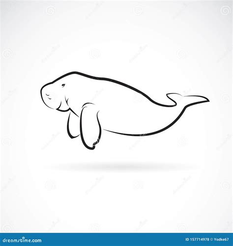 Dugong Cartoons, Illustrations & Vector Stock Images - 490 Pictures to download from ...