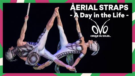 True Chemistry In A Duo Aerial Straps Act A Day In The Life Of Ovo Backstage Cirque Du