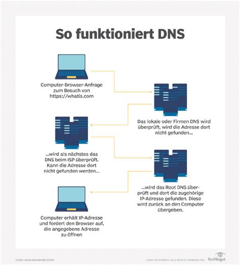 Dom Ne Domain