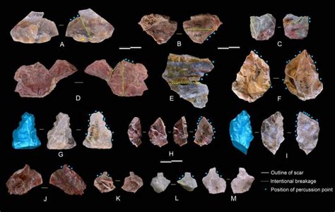 Gli Scienziati Hanno Scoperto Strumenti Avanzati Risalenti A