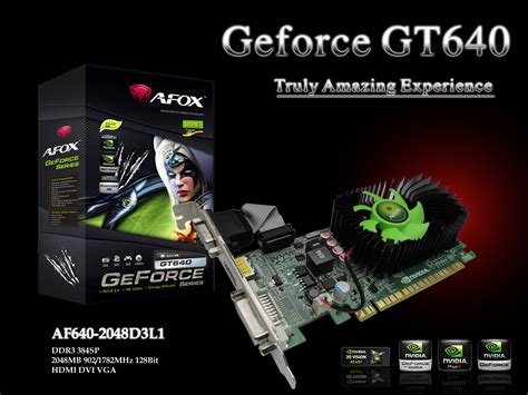 AFOX Launches New NVIDIA Geforce GT 640 Graphics card | VideoCardz.com