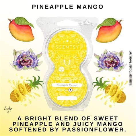 Pineapple Mango Scentsy Pod Twin Pack The Candle Boutique Scentsy