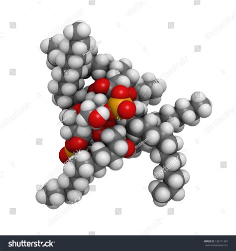 Lipid Bacterial Endotoxin Molecular Model Atoms Stock Illustration ...